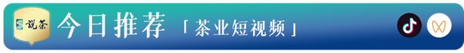 仓储！普洱茶品饮热潮再起AG电玩国际好源头、好(图7)